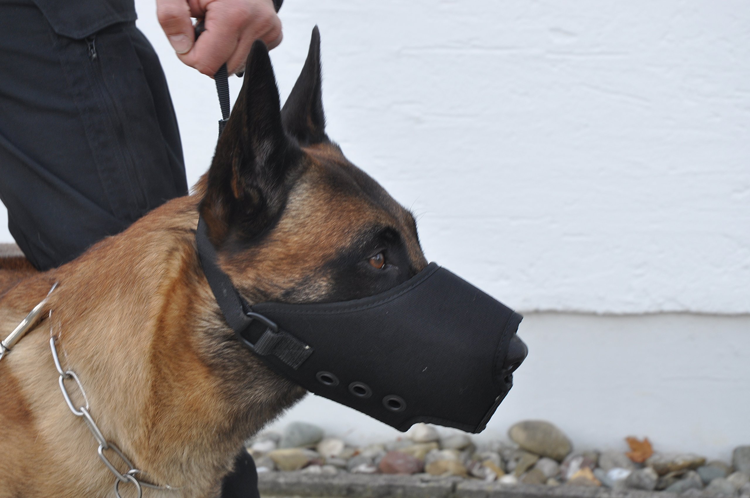 COP® K9 Beisskorb Quick Release (schnell abnehmbar), Cordura® / schwarz, Gr. L