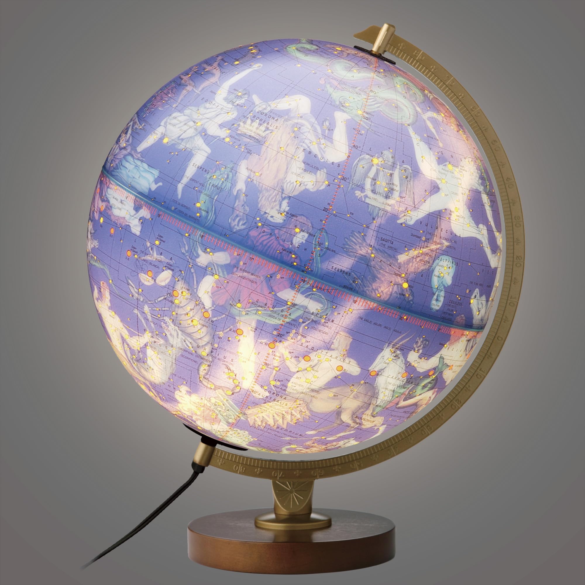 Amazon.co.jp: リプルーグル 天球儀 ライト付 英語版 2WAY 13508