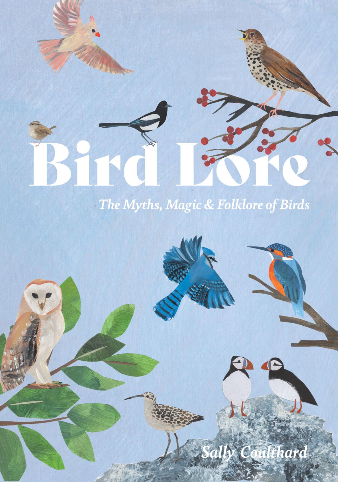 Bird Lore : The Myths, Folklore and Meaning of Birds