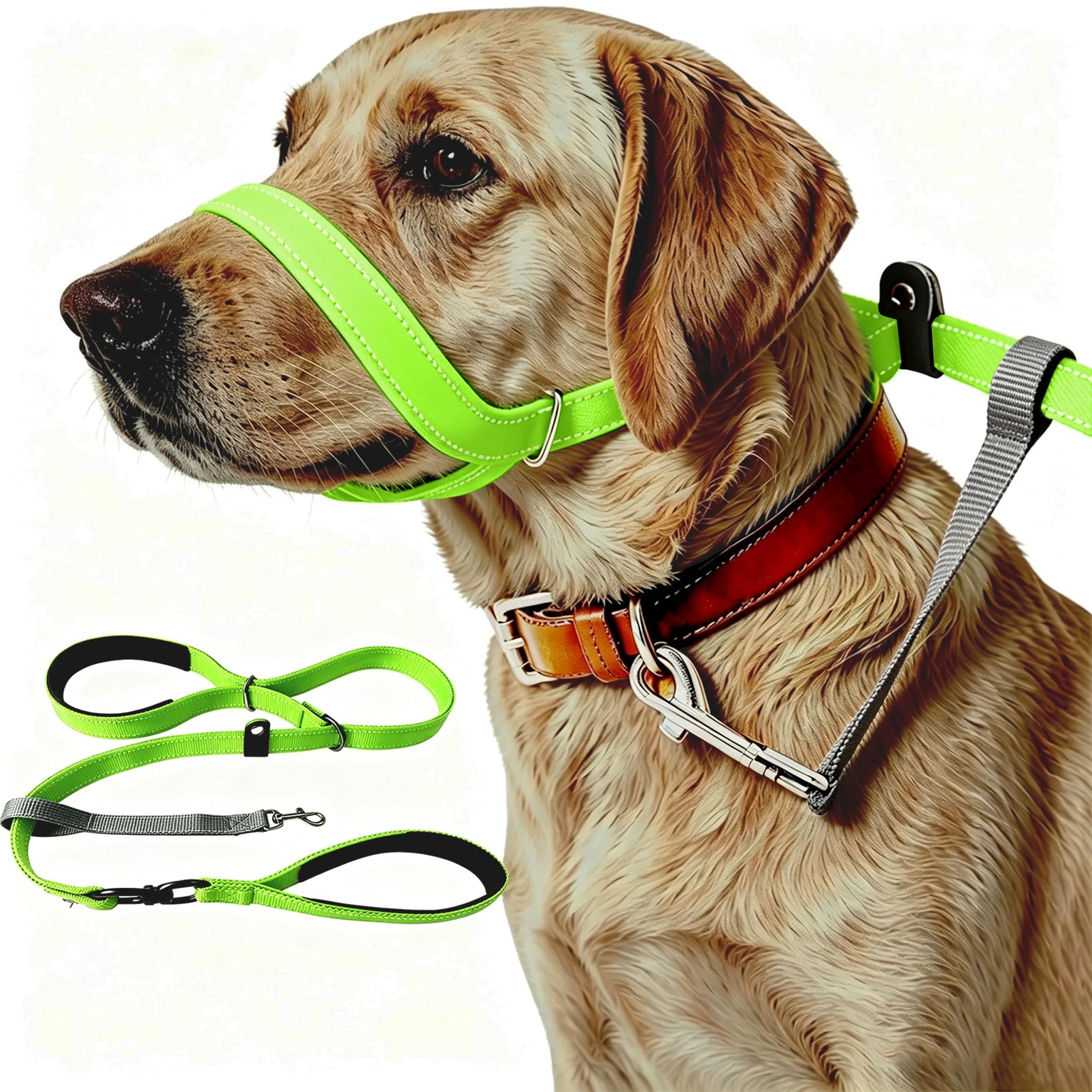 Figure of 8 Dog Lead with Anti-Tangle Flat No Pull Slip Leads Reflective with Comfy Padded Handle and Padded Nose Support Training Leash Suitable For All dog Breeds (Fluorescent Green, 200cm)
