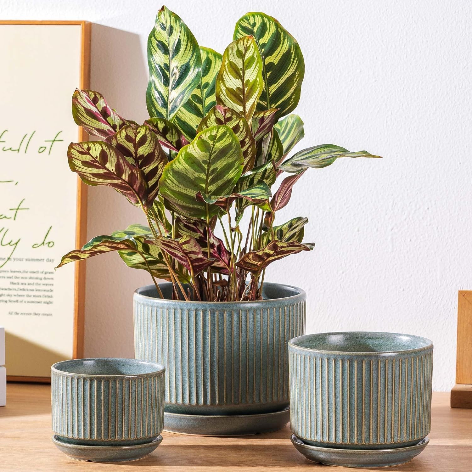 Green Ceramic Plant Pots Set of 3, 4.3+5.5+6.7 Inch Indoor Flower Pots with Drainage Hole & Saucer & Hole Mesh Pads, Striped Decorative Planter Set for Indoor Plants, Gardening Pots & Accessories