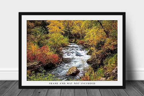 Miniatura 3 de Black Hills Photography Print (Not Framed) Picture of Creek Surrounded by Fall Foliage on Autumn Day in Spearfish Canyon South Dakota Nature Wall