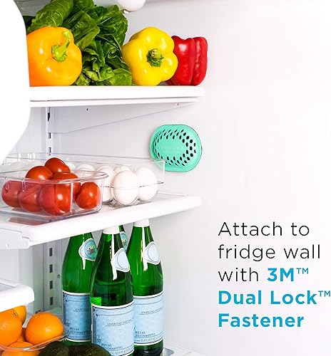 Miniatura 5 de remodeez Desodorizador y eliminador de olores para refrigerador, hecho de carbón natural renovable de cáscara de coco, ambientadores naturales