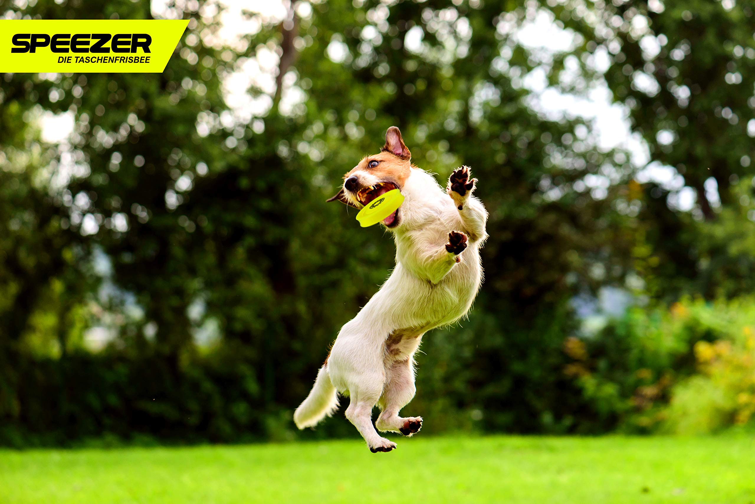 SPEEZER Lot de 3 mini frisbee - Le disque jaune est le gadget de sport amusant en plein air - Petit et doux, le disque frisbee se glisse dans n'importe quelle poche de pantalon et est le jeu de lancer