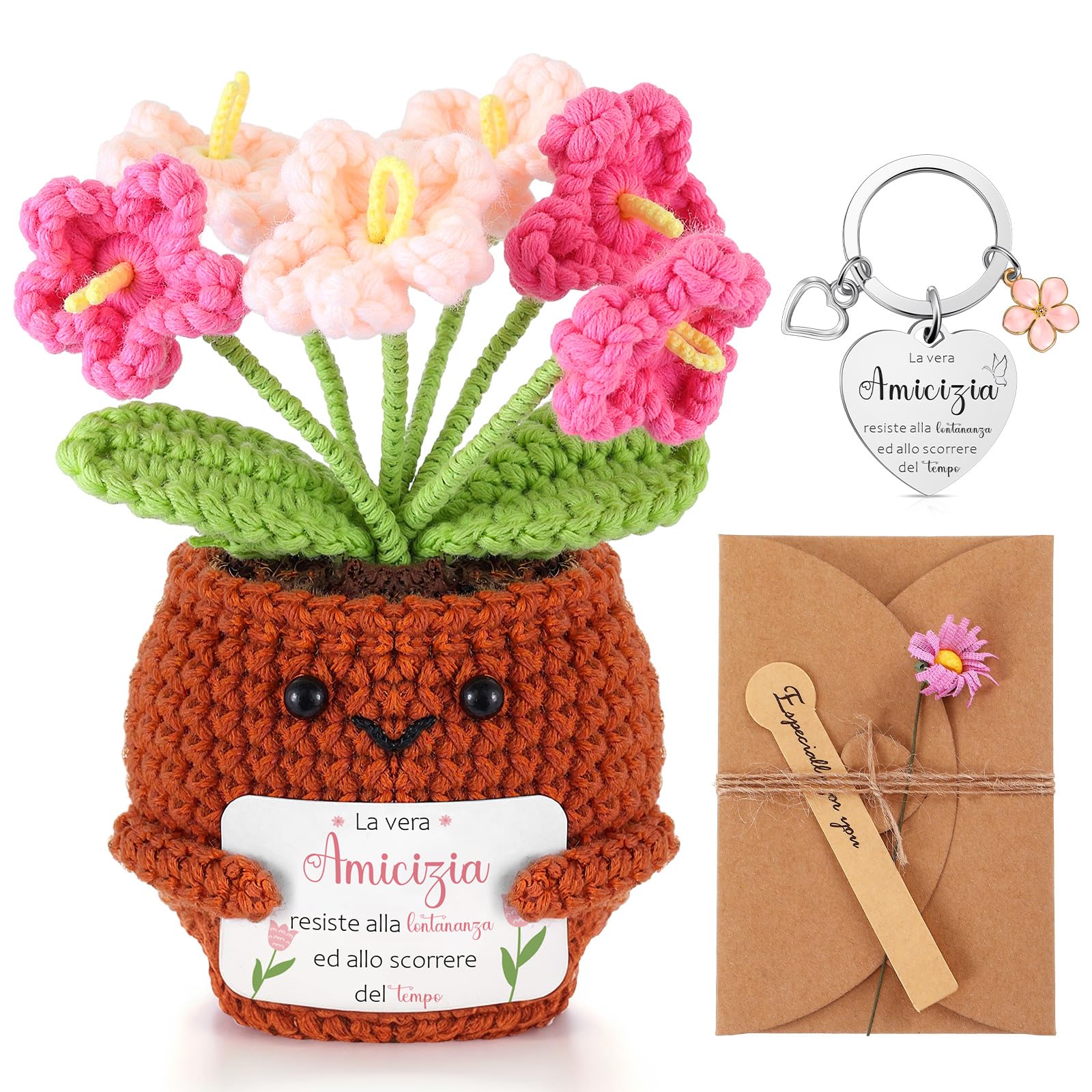 Skylety 3 Regali per Amica Sorella Maestra Piante in Vaso Lavorate a Maglia Portachiavi Biglietti di Auguri con Fiori Secchi Regalo di Ringraziamento per Natale Compleanno