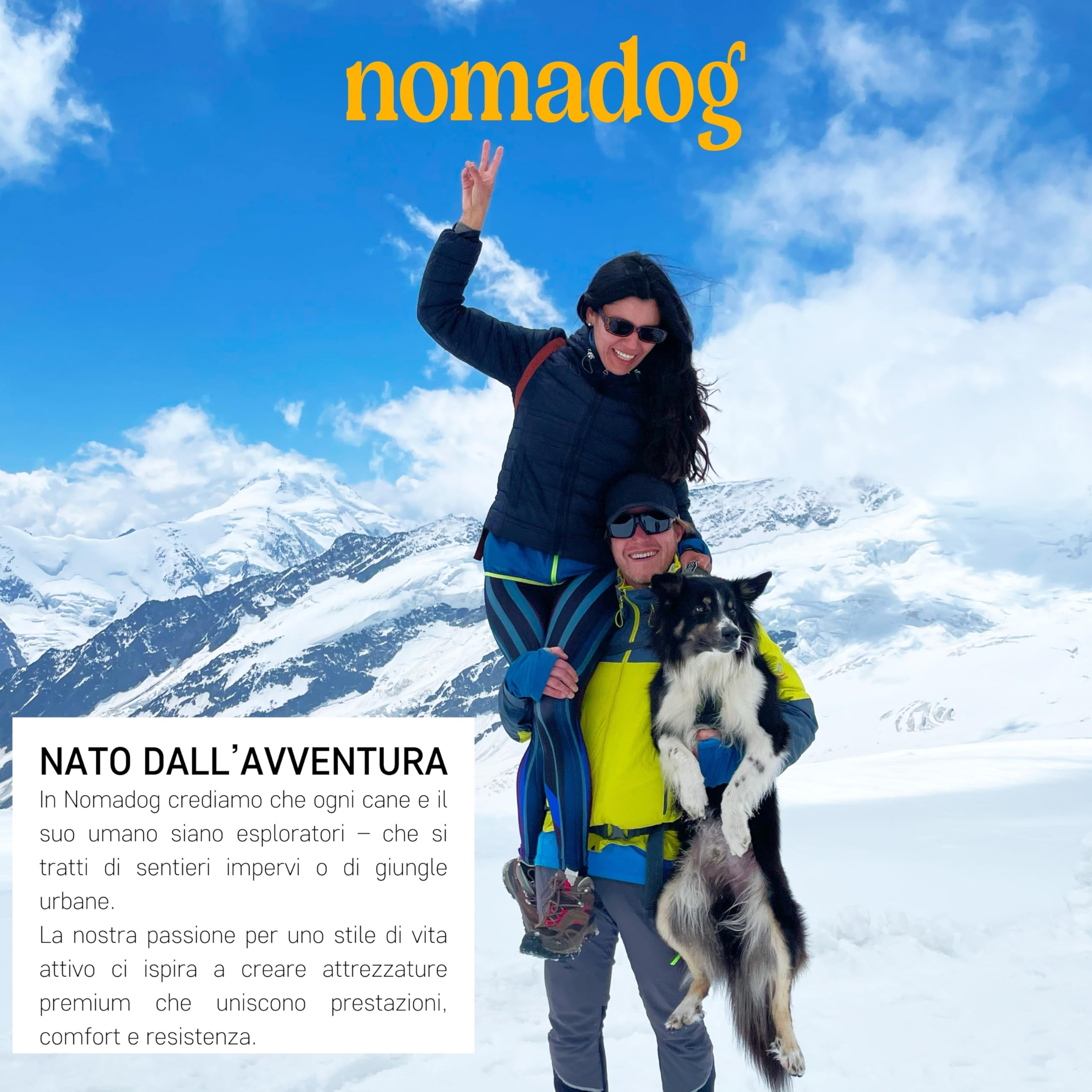 Nomadog Trailblazer Guinzaglio per Cani Multifunzionale 6-in-1 - Guinzaglio Doppio Moschettone Girevole a 360° in Alluminio, Regolabile 1,4-2,4 m, Riflettente - Ideale per Escursioni