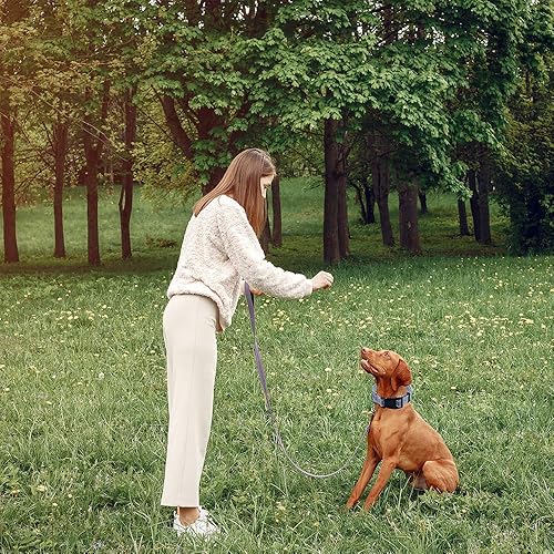 Miniatura 6 de Collar reflectante para perro con hebilla de bloqueo de seguridad, collares de nailon suaves y transpirables ajustables para perros pequeños,