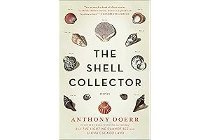 The Shell Collector: Short, Poignant Stories for Reflection