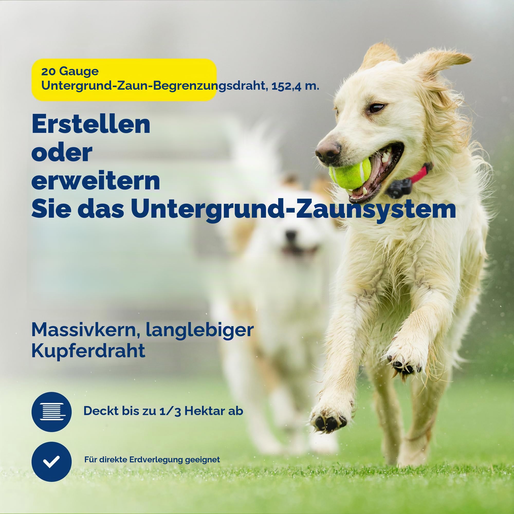 PetSafe Begrenzungsdraht, 152,4 m Spule mit solidem Kern 20-Gauge Kupferdraht, In-Ground Pet Zaundraht, Farben können variieren
