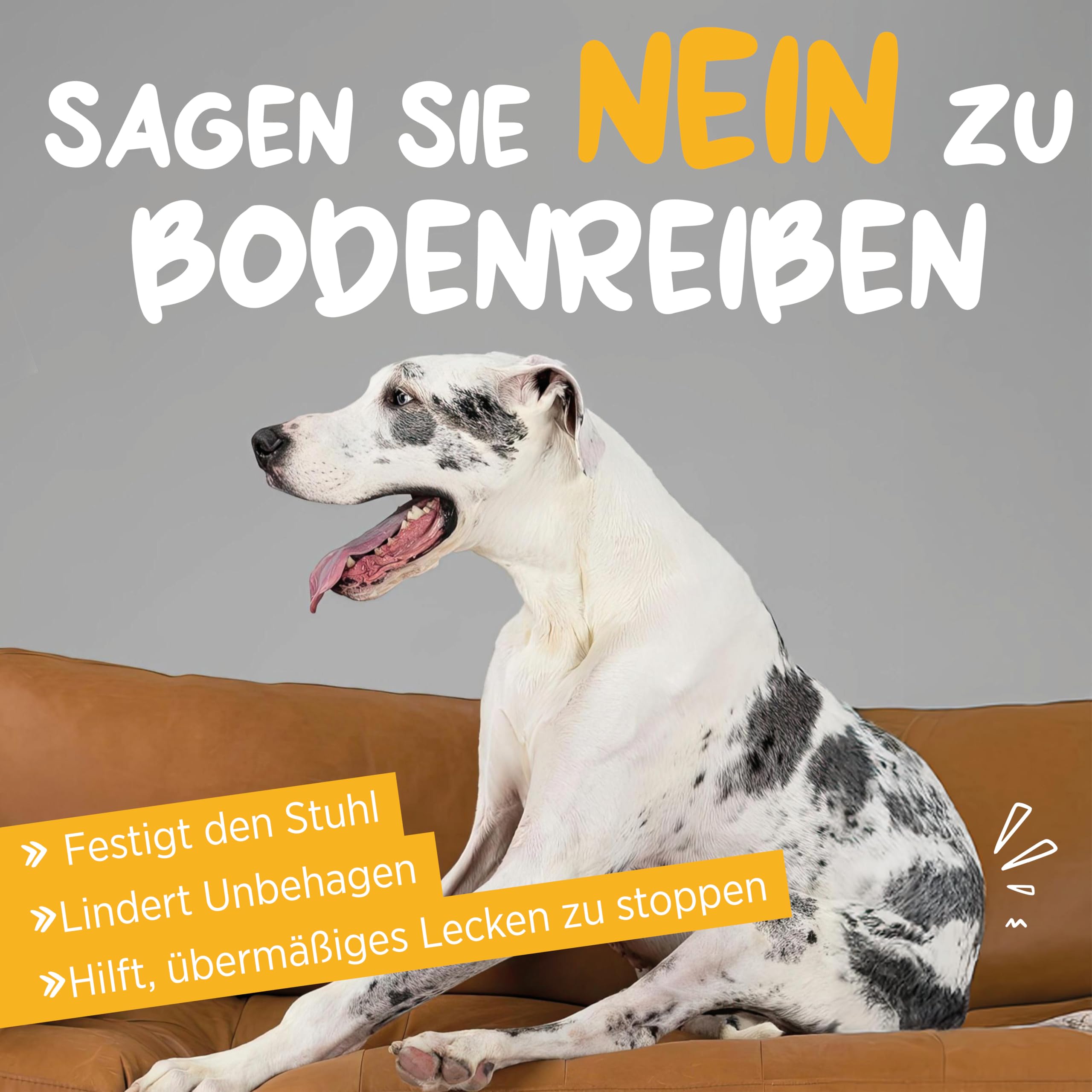 maxxipaws maxxiscoot Analdrüse & Darmgesundheit für Hunde - Nahrungsergänzungsmittel in Pulverform, 140g