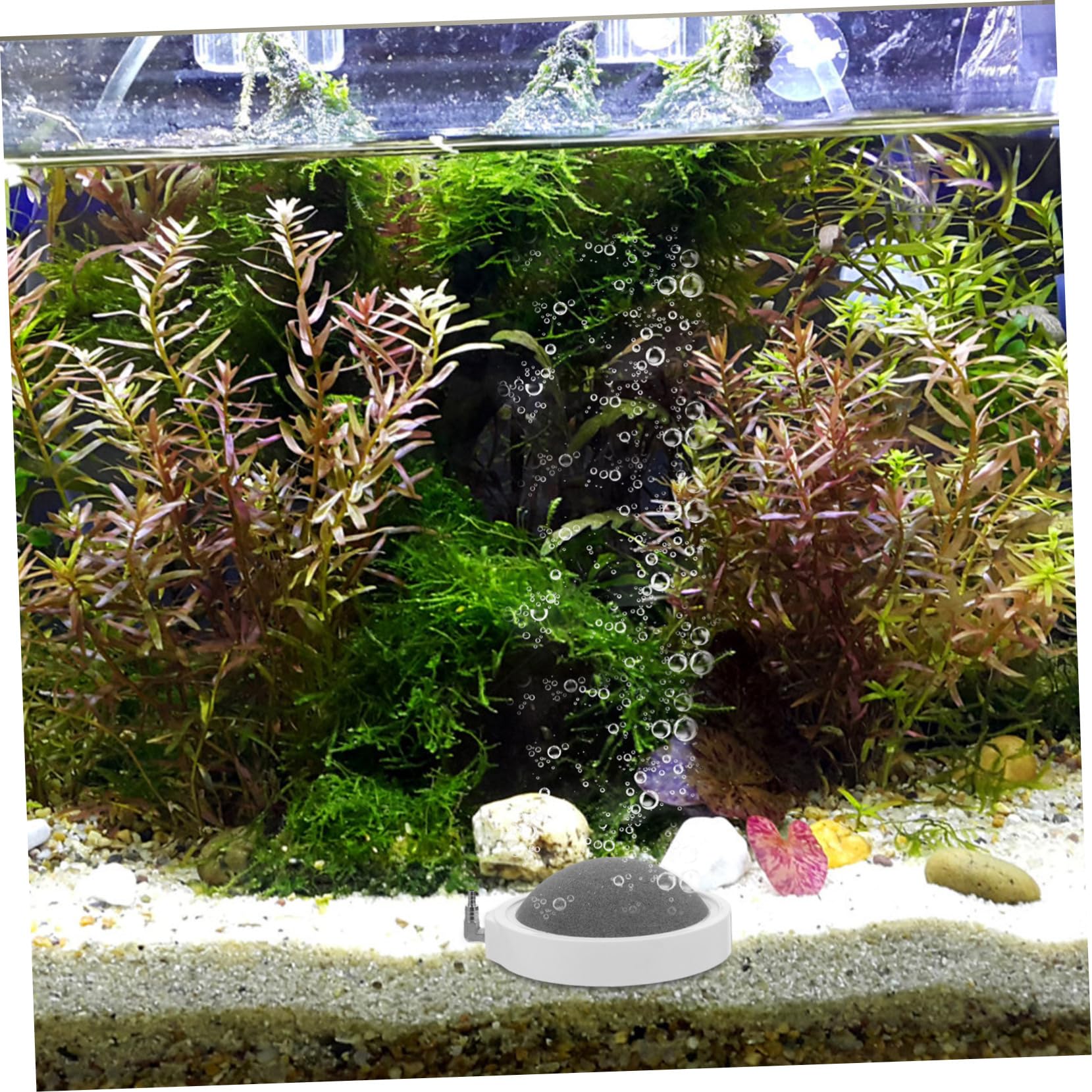 2piezas Disco De Aire para Acuario Piedra Difusora De Burbujas De Piedra De Oxigenación para Acuarios y Tanques De Peces Adecuado para Uso Diario