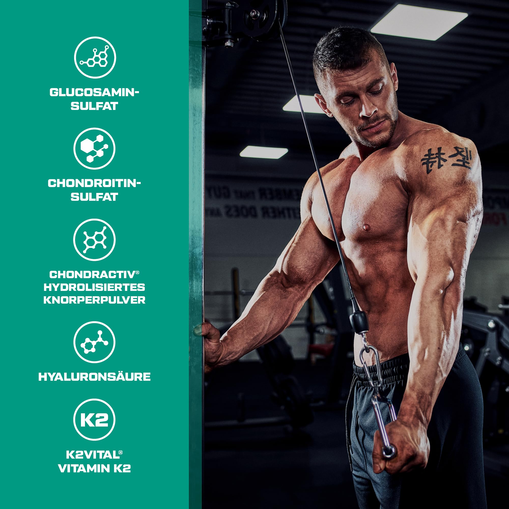 Scitec Nutrition Arthroxon Plus, Nahrungsergänzungskapseln mit Glucosaminsulfat, MSM, hydrolysiertem Knorpelpulver, Chondroitinsulfat, 108 Kapseln