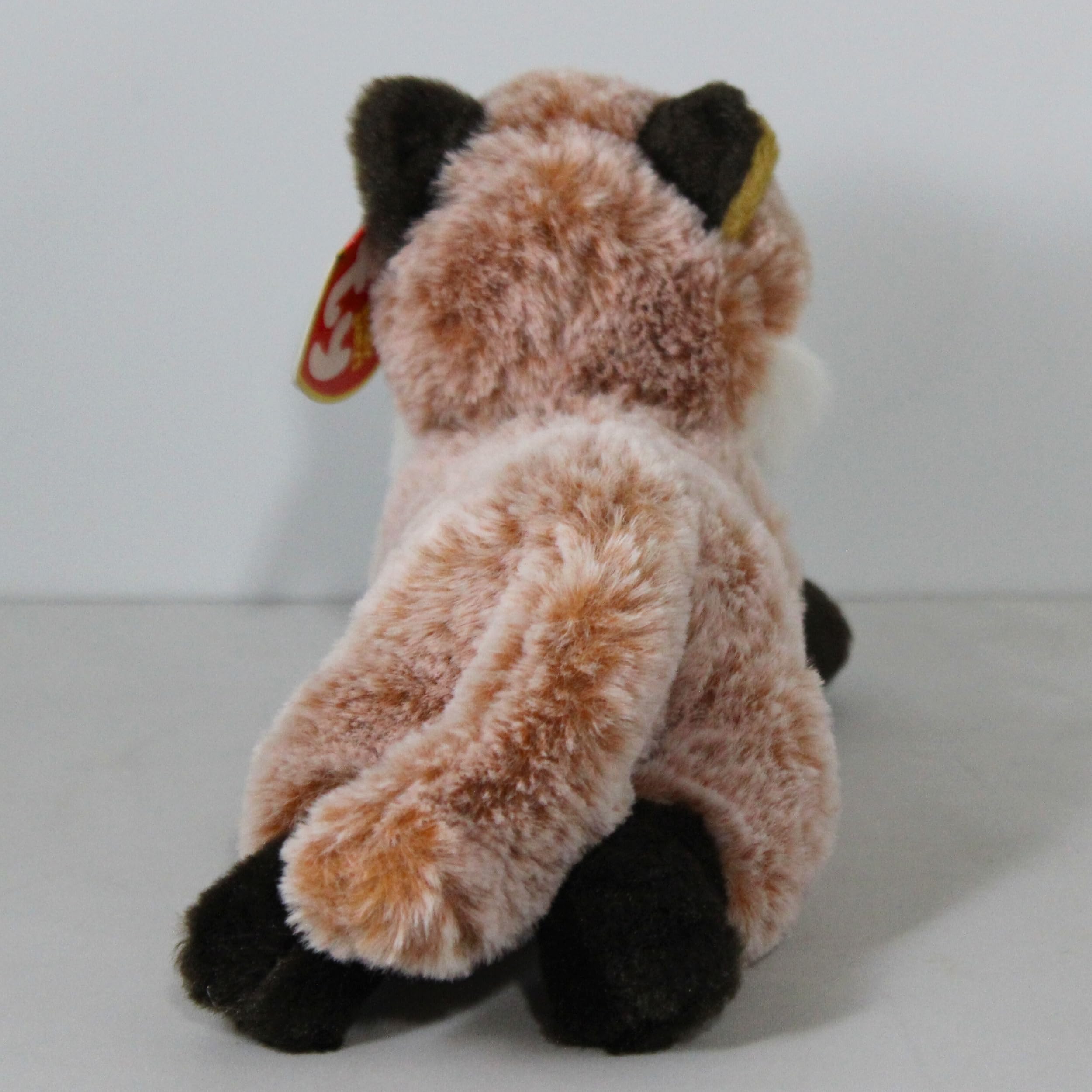 Ty Gorro para bebês – Fredrick The Fox (15 cm) | Amazon.com.br
