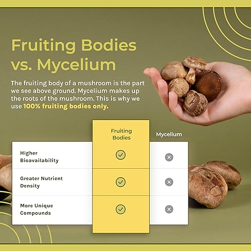 Miniatura 4 de Naturealm - Polvo de melena de león - Superalimento para la salud cerebral apoya la concentración y la salud nerviosa, 2.1 oz, suministro para 60