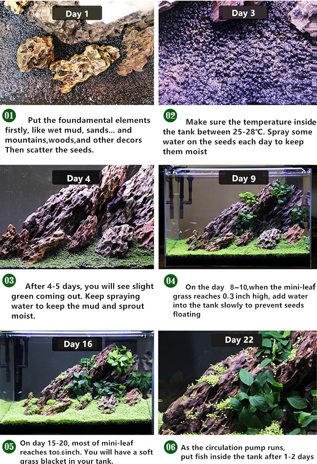 3 Bags Aquarium Plant S.e.e.ds, not Artificial Plastic Plant, Fish Tank Live Grass for All Substrate yljl4222ds