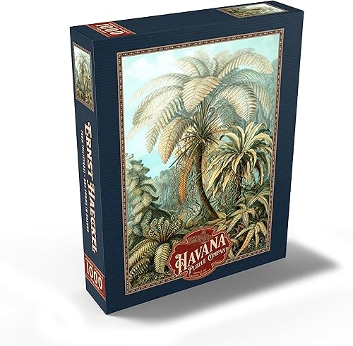 Miniatura 2 de MyPuzzle Fern (Filicinae) - Formas de arte en la naturaleza, póster de arte vintage, Ernst Haeckel - Rompecabezas prémium de 1000 piezas para adultos