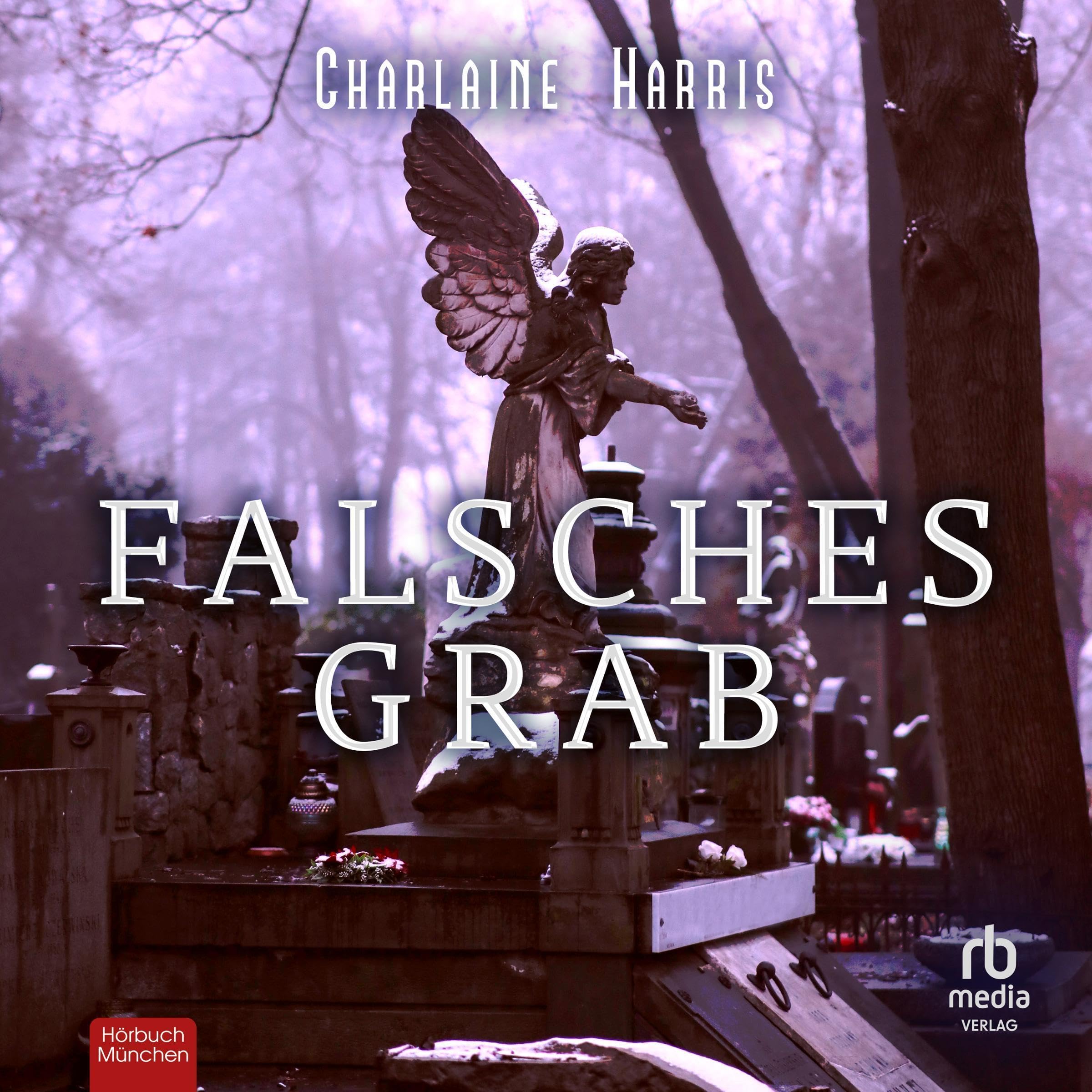 Cover art for Falsches Grab [Grave Surprise]