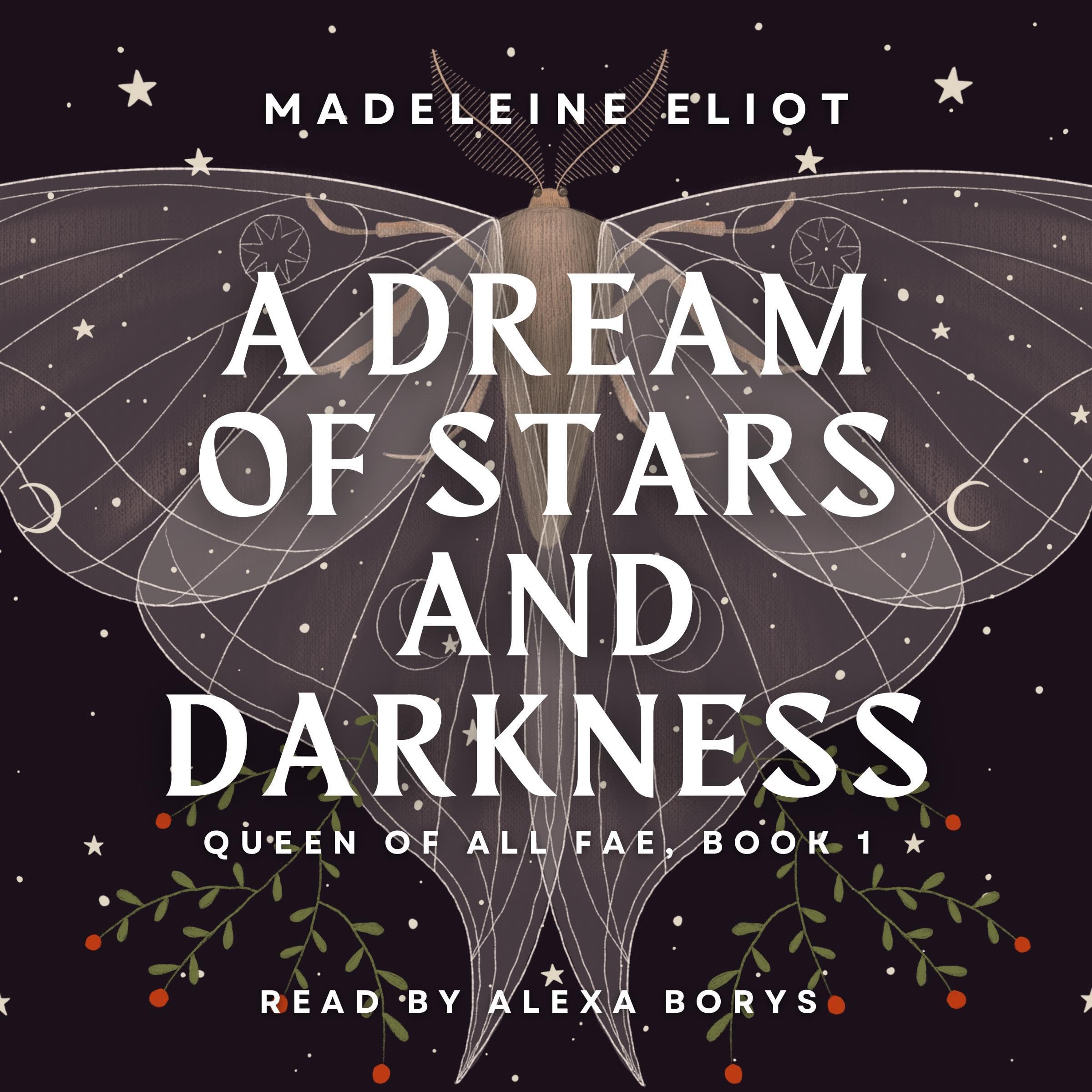 Cover art for A Dream of Stars and Darkness