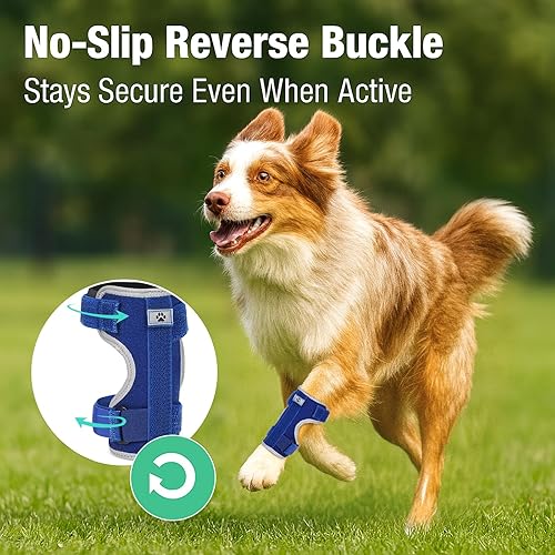 Miniatura 3 de Soporte de pierna delantera para perro férula ajustable para tobillo, pierna delantera, tobillo, extremidad de poro, envoltura de esguince con