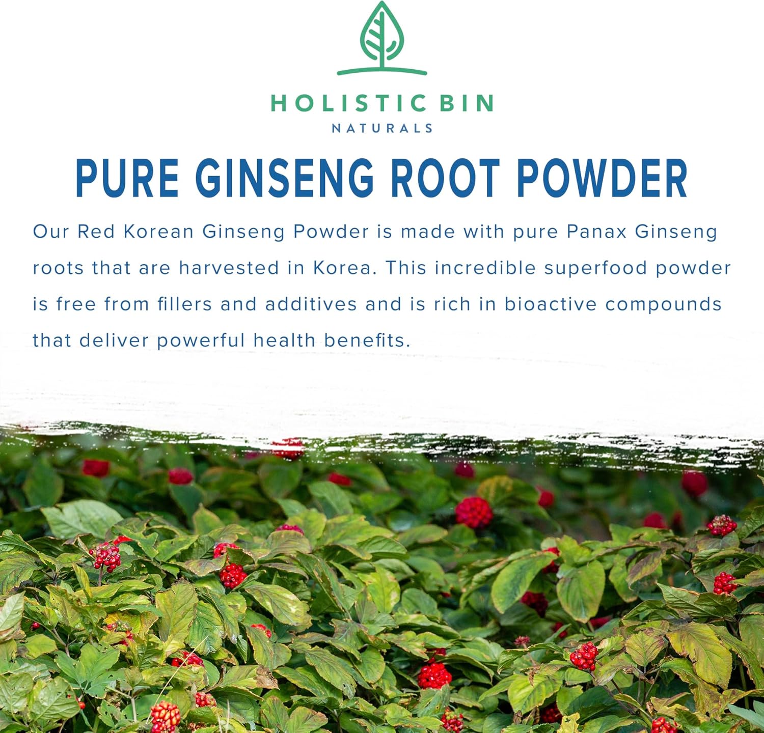 Holistic Bin Korean Red Ginseng Powder Pure Panax Ginseng Supplement | Vegan, Gluten Free, Non GMO, No Fillers | Rich in Ginsenosides (50g) - Image 2