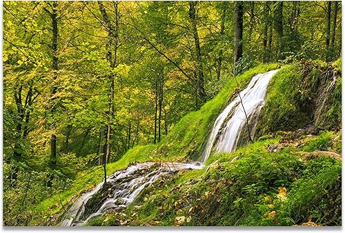 Estilo escandinavo naturaleza paisaje cascada lago bosque selva lienzo impresiones para sala de estar decoración del hogar imágenes 19.7x27.6 in sin