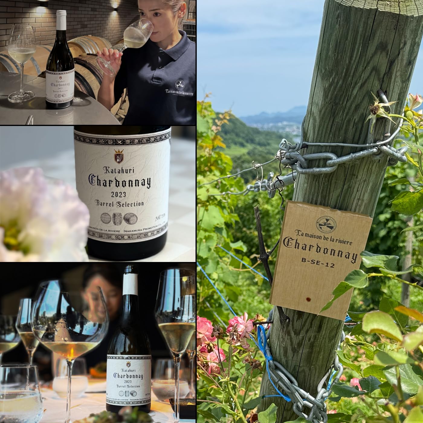 Amazon.co.jp: Chardonnay Barrel Selection 2023 La Maison de La