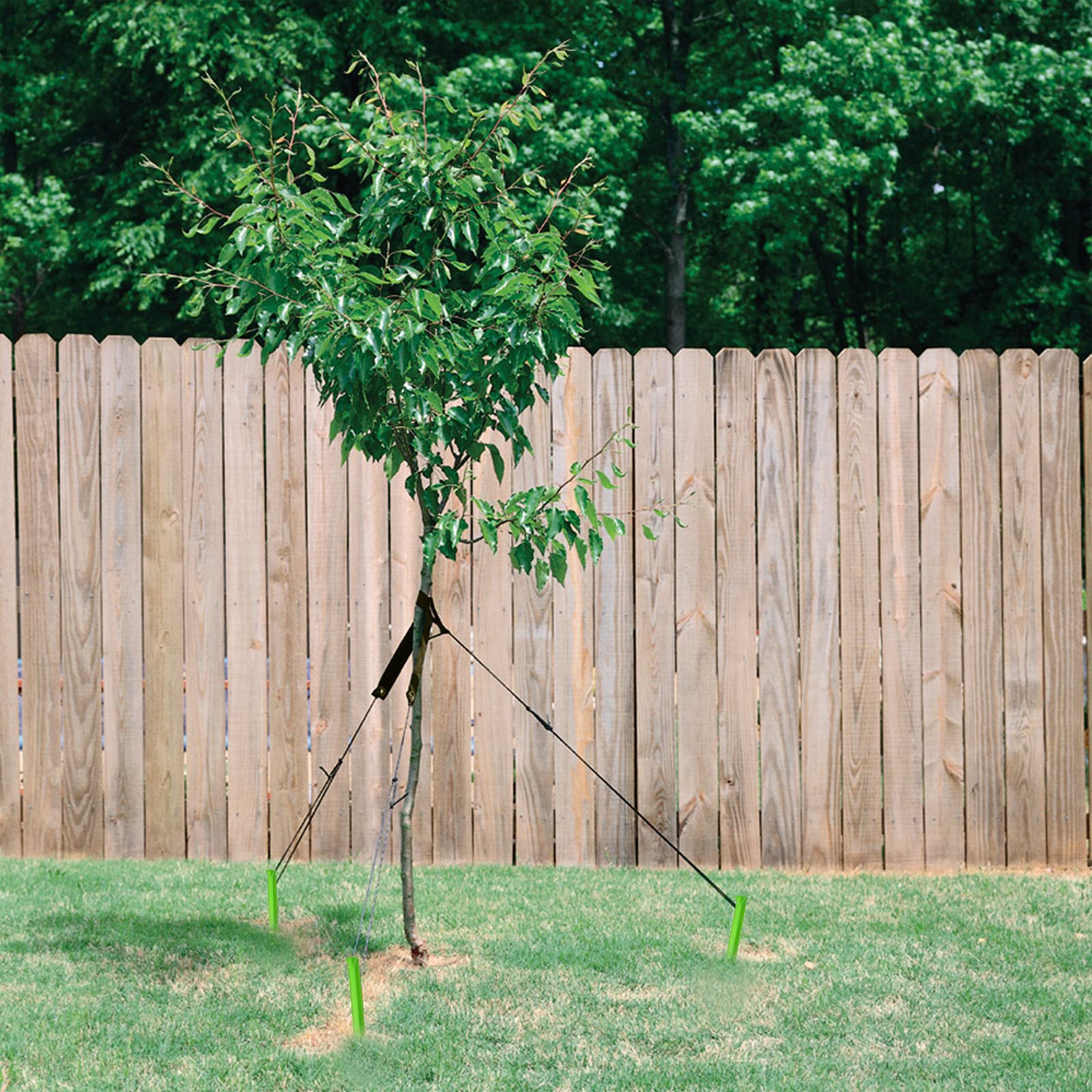 Sintuff Set di 16 pali e supporti per alberi pendenti, resistenti, 40 cm, con corde da