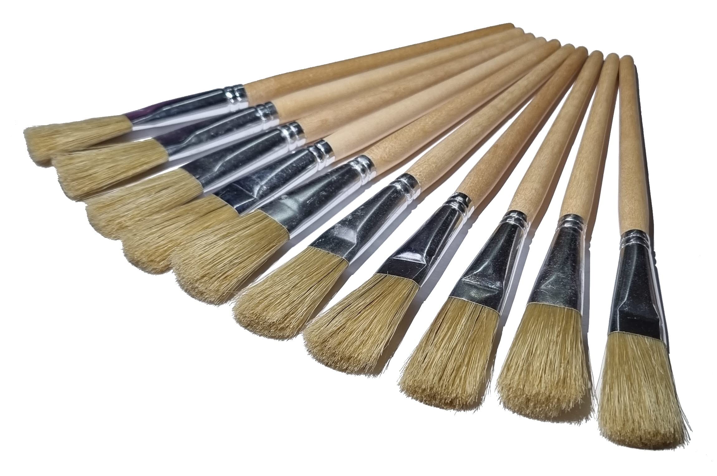 Major Brushes Short Handle Hog Bristle Brushes - Set of 10