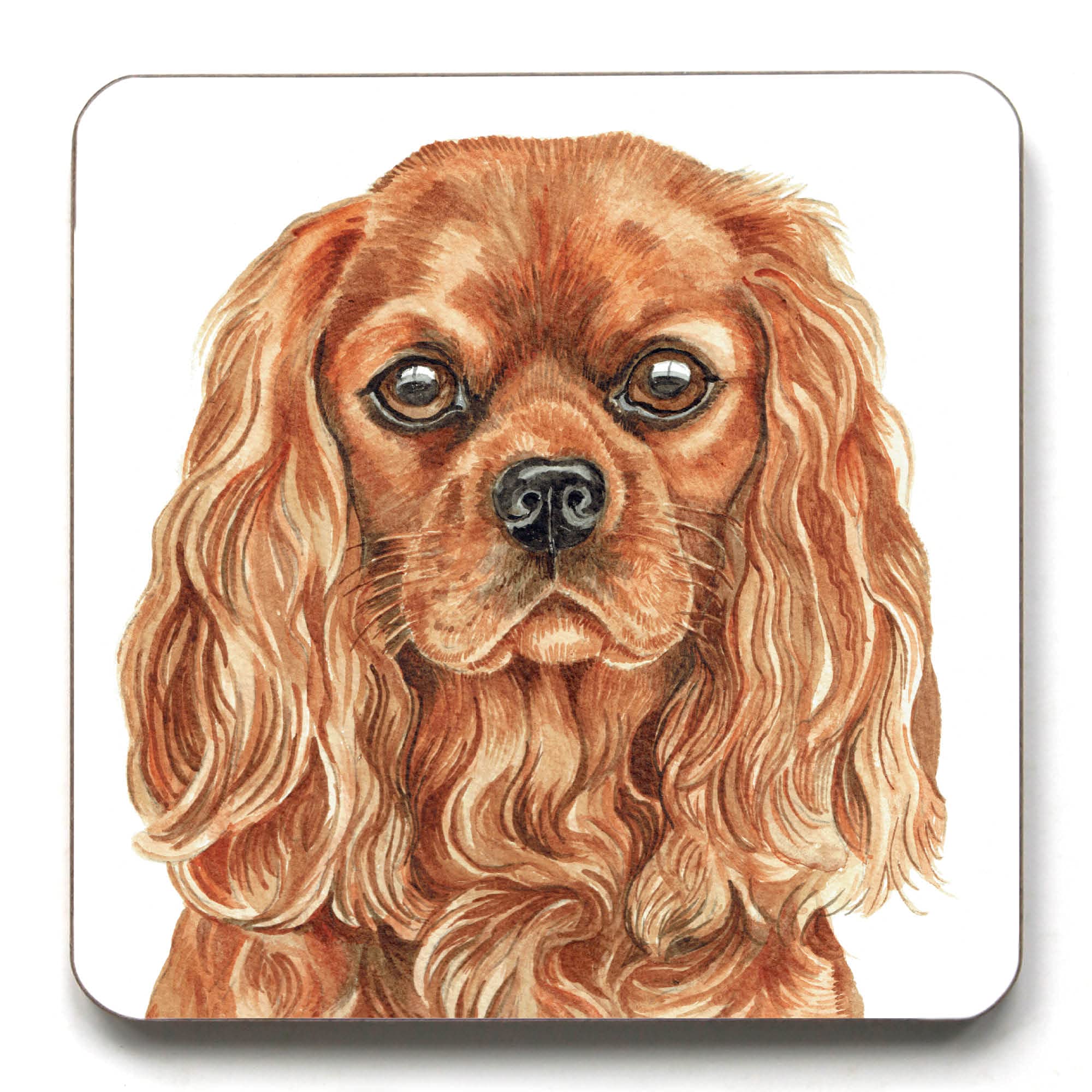 Waggydogz Ruby Red Ruby Cavalier King Charles Spaniel Dog Breed Coaster (Cst-260)