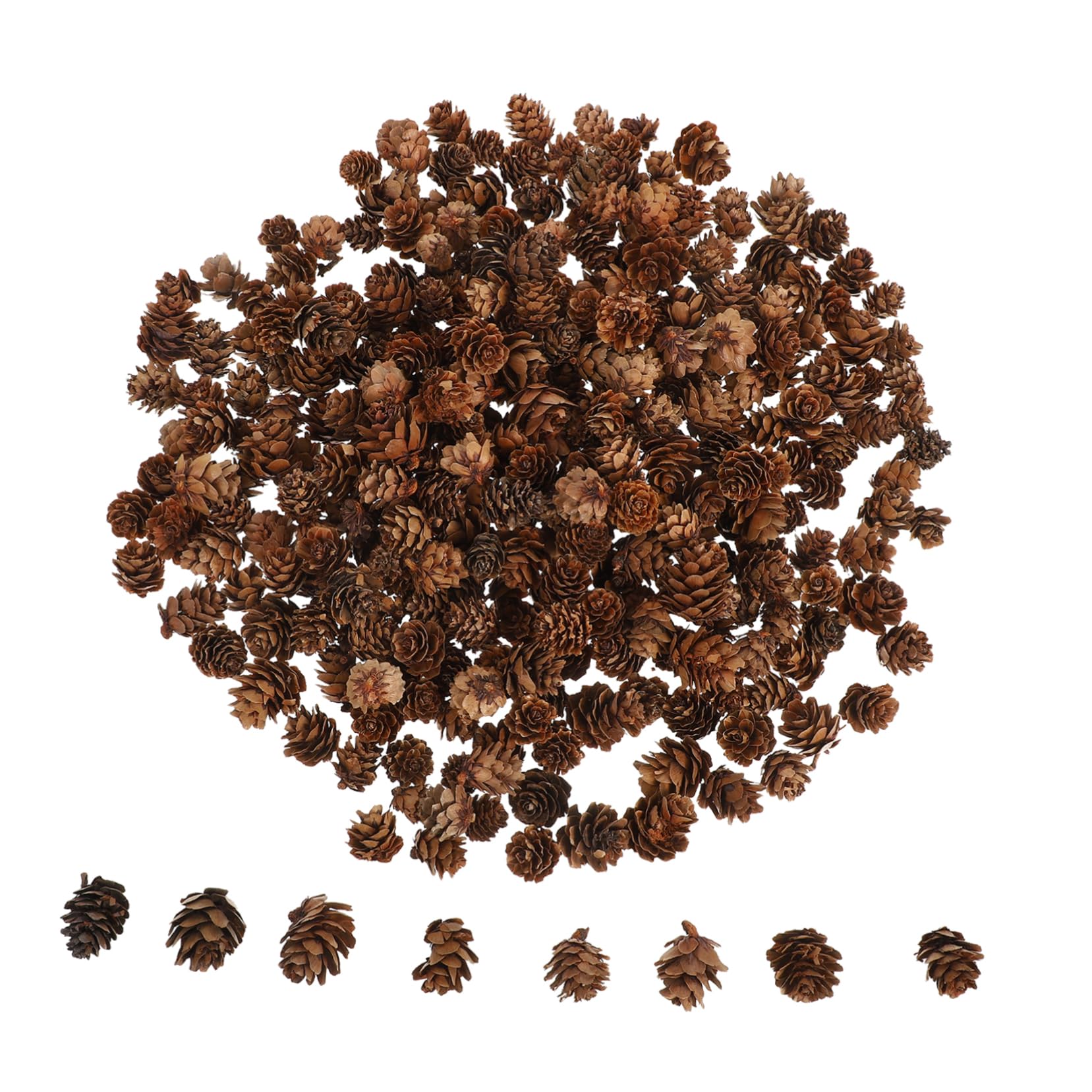 Kleiner Kiefernzapfen Dekoration Natürliche Tannenzapfen Bastelmaterial Herbst Deko Zubehör 1–2cm 450 Stück Für Weihnachtsbaum Und Tischdeko