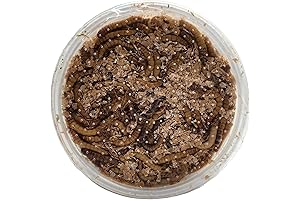 Josh's Frogs Giant Mealworms (250 Count)