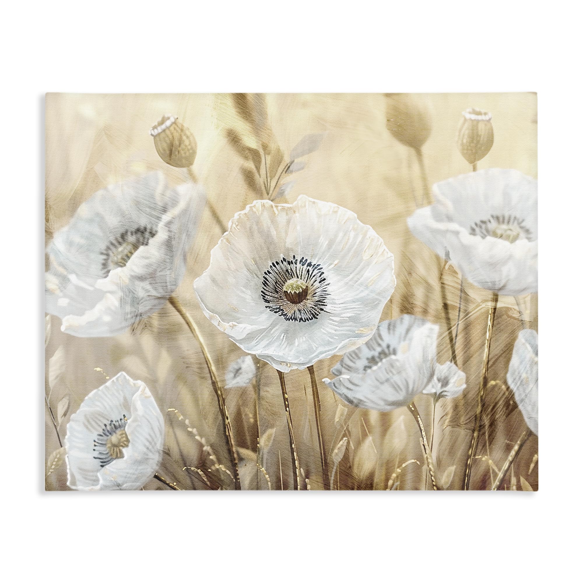 Stupell Industries 'White Poppies Beige Field', Canvas Art, 20 x 16 Inches, Easy to Hang and Sturdy, Made in USA, by Kim Allen