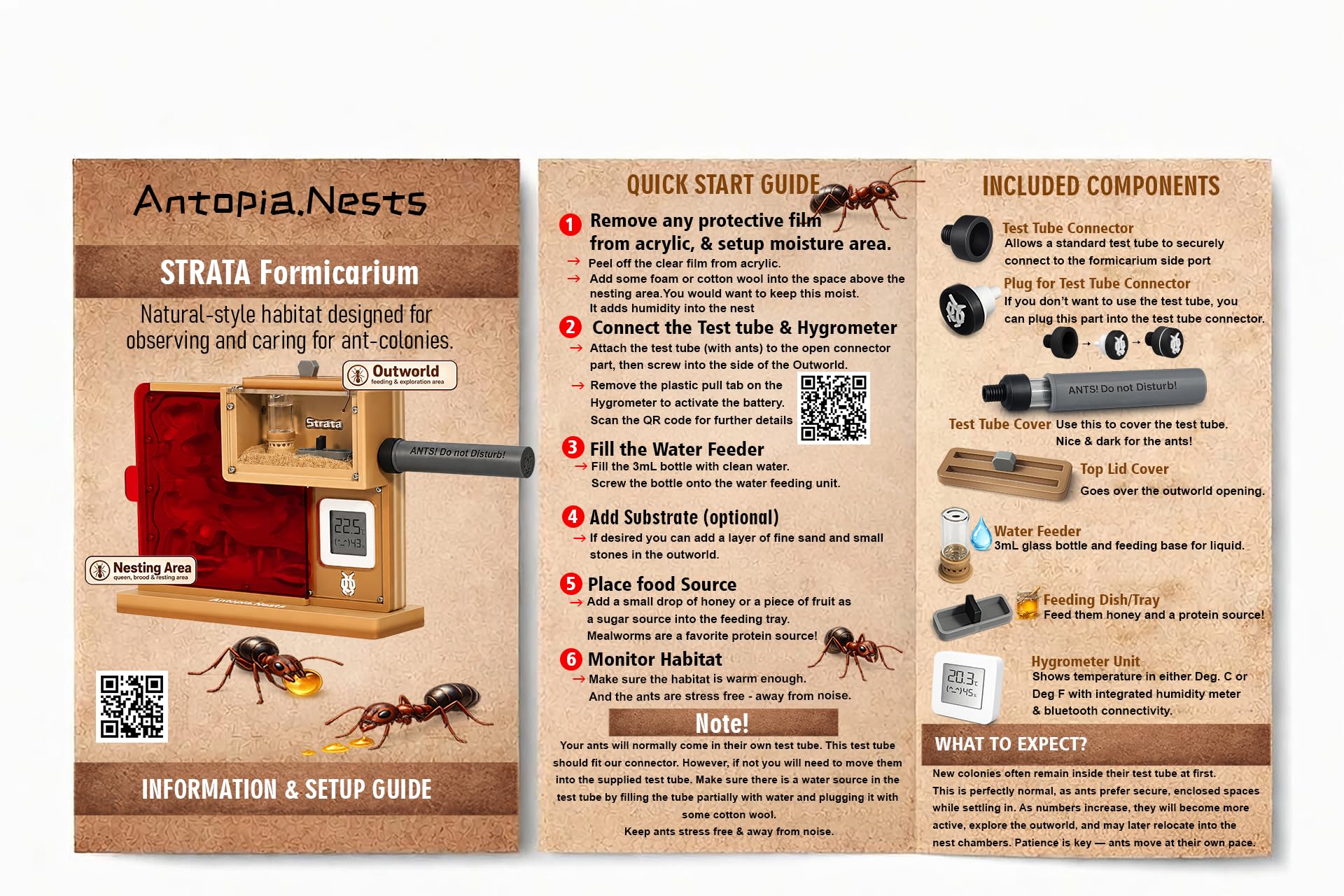 Ant Farm & Nid avec système de grotte - Un formicarium et un habitat pour vos fourmis - Avec système d'humidité - Idéal pour les amateurs de fourmis - Version effet roche