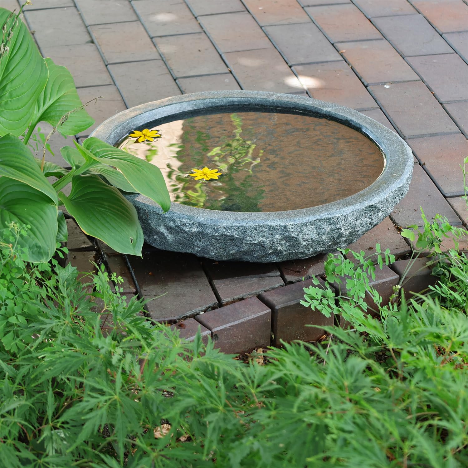 CLGarden Naturstein Wasserschale GVT2 aus Granit Ø 46cm Vogeltränke groß Garten Stein Boden Vogel Bad frostfest