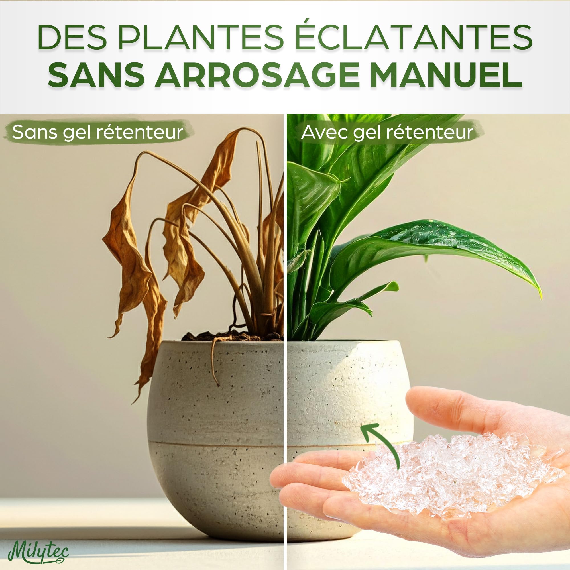 Granulés Gel Rétenteur d’Eau pour Plantes | Arrosage Automatique Pendant Les Vacances | Intérieur et extérieur | E-Book Offert | Sachet de 500 g | Convient pour 600 litres de terreau