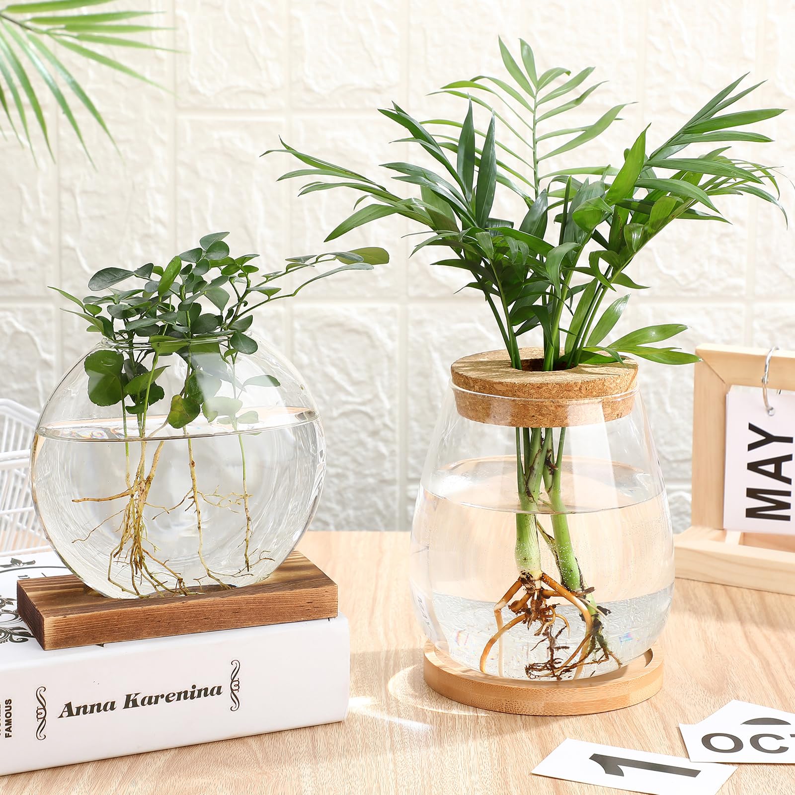 Layhit Lot de 4 stations de propagation séparées pour plantes de bureau, terrarium, vase en verre avec couvercle en bois et support en bambou pour la culture hydroponique, la maison, le bureau, la