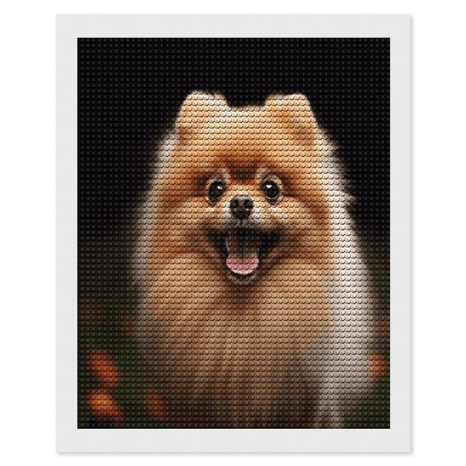 VstaDank Pomeranian Diamond Painting Kits Exquisite DIY Full Round Drill Diamond Dots Painting for Adults Beginner Diamond Photo Paint with Diamond Picture Art Wall Decor 16"x20"