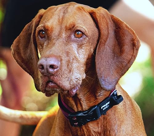Miniatura 2 de Rogz Airtech Classic - Collar para perro mediano, color rojo roca