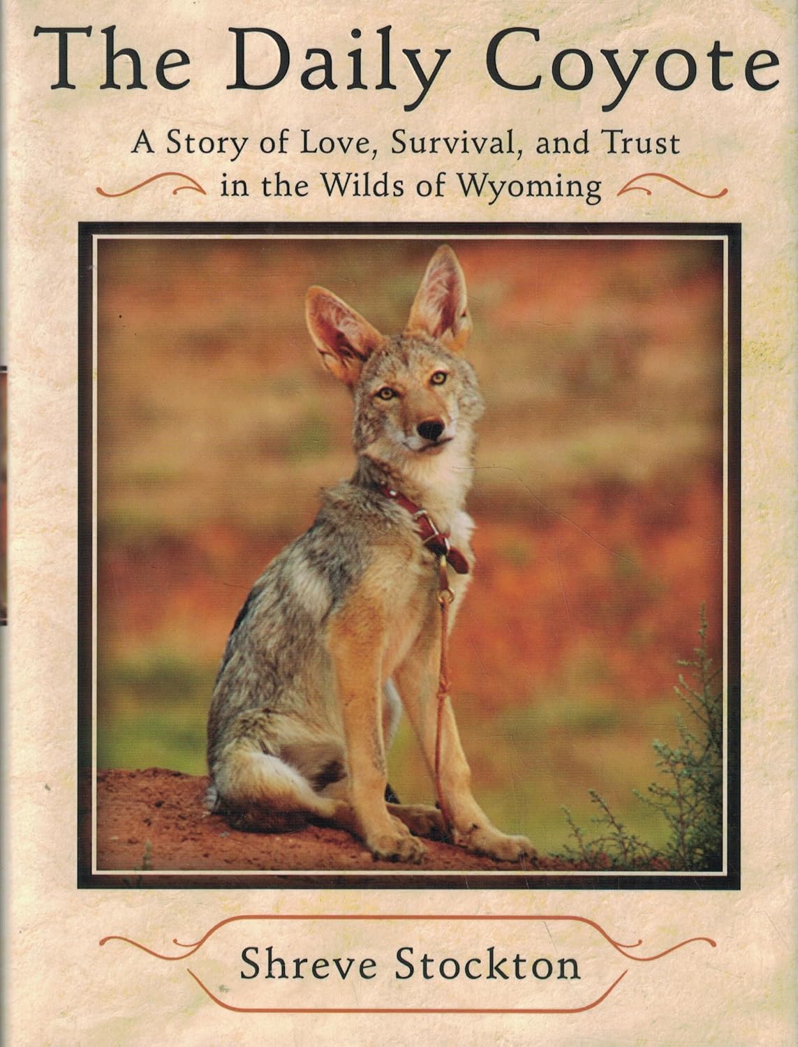 The Daily Coyote: A Story of Love, Survival, and Trust in the Wilds of Wyoming