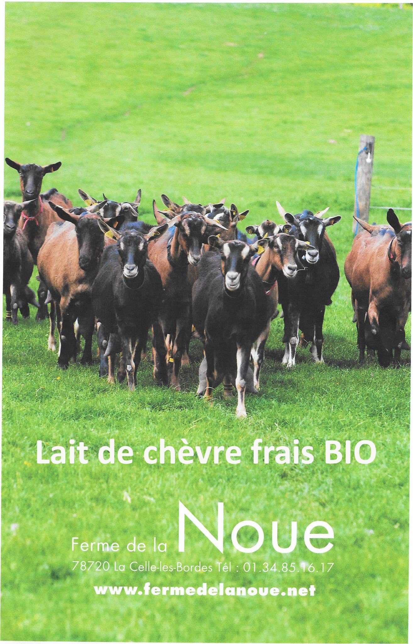 Savon au Lait de Chèvre Frais Bio - Saponification à Froid, Parfait pour Eczéma, Psoriasis, Acné - Hydratant et Apaisant, Peau Douce (1, senteur naturelle lait de chèvre)