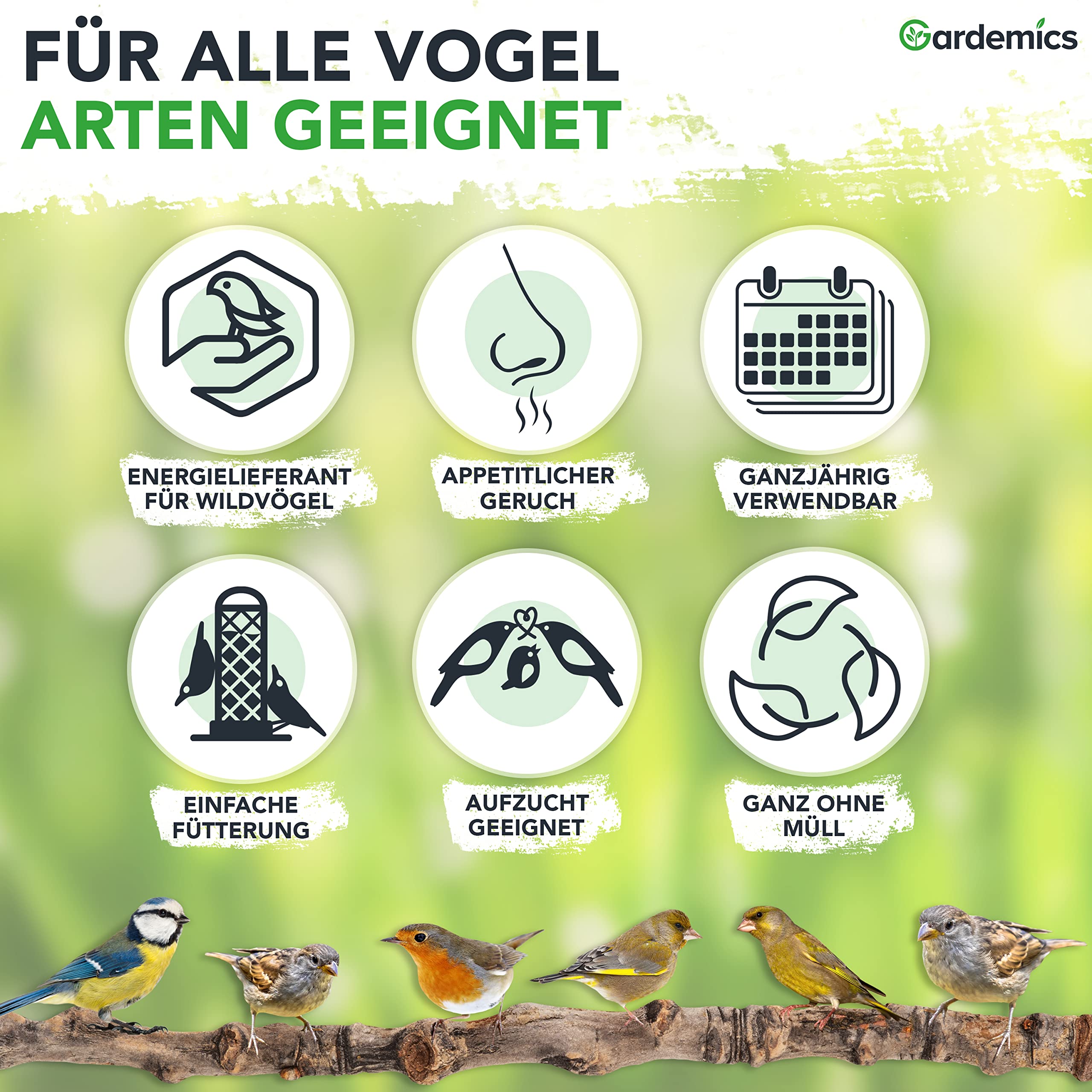 Gardemics Meisenknödel ohne Netz für Wildvögel, Insekten-Knödel [9 kg, ca. 100 Stück] Wildvogelfutter mit Insekten für Artenvielfalt im Garten | Proteinreiches Ganzjahresfutter