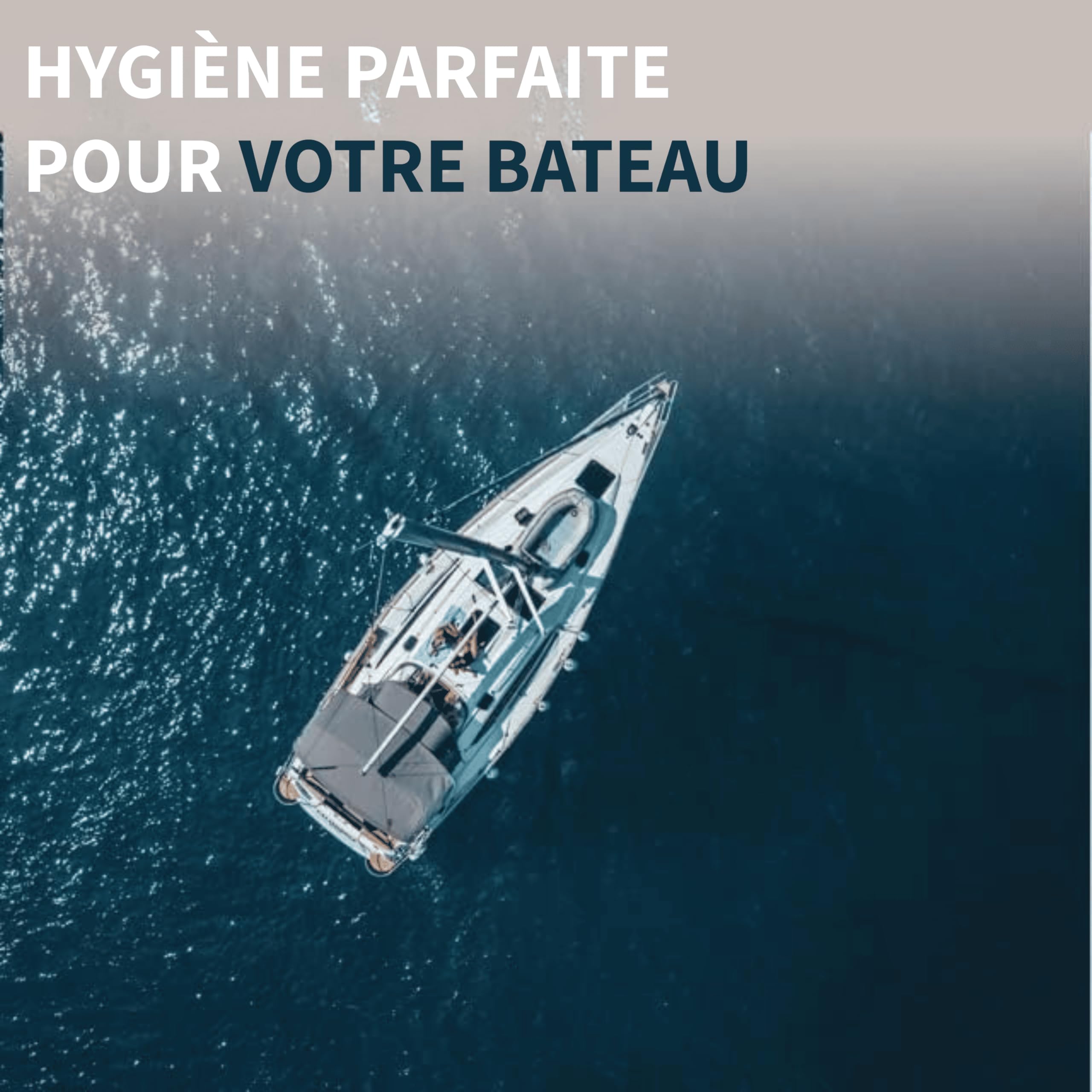 LUCCY WC Rinse 10 Litres | Liquide pour Réservoir d’Eau Propre de WC Chimique | Additif pour Toilettes Camping-Car, Van et Caravane | Nettoyage de la Cuvette et Parfum Agréable