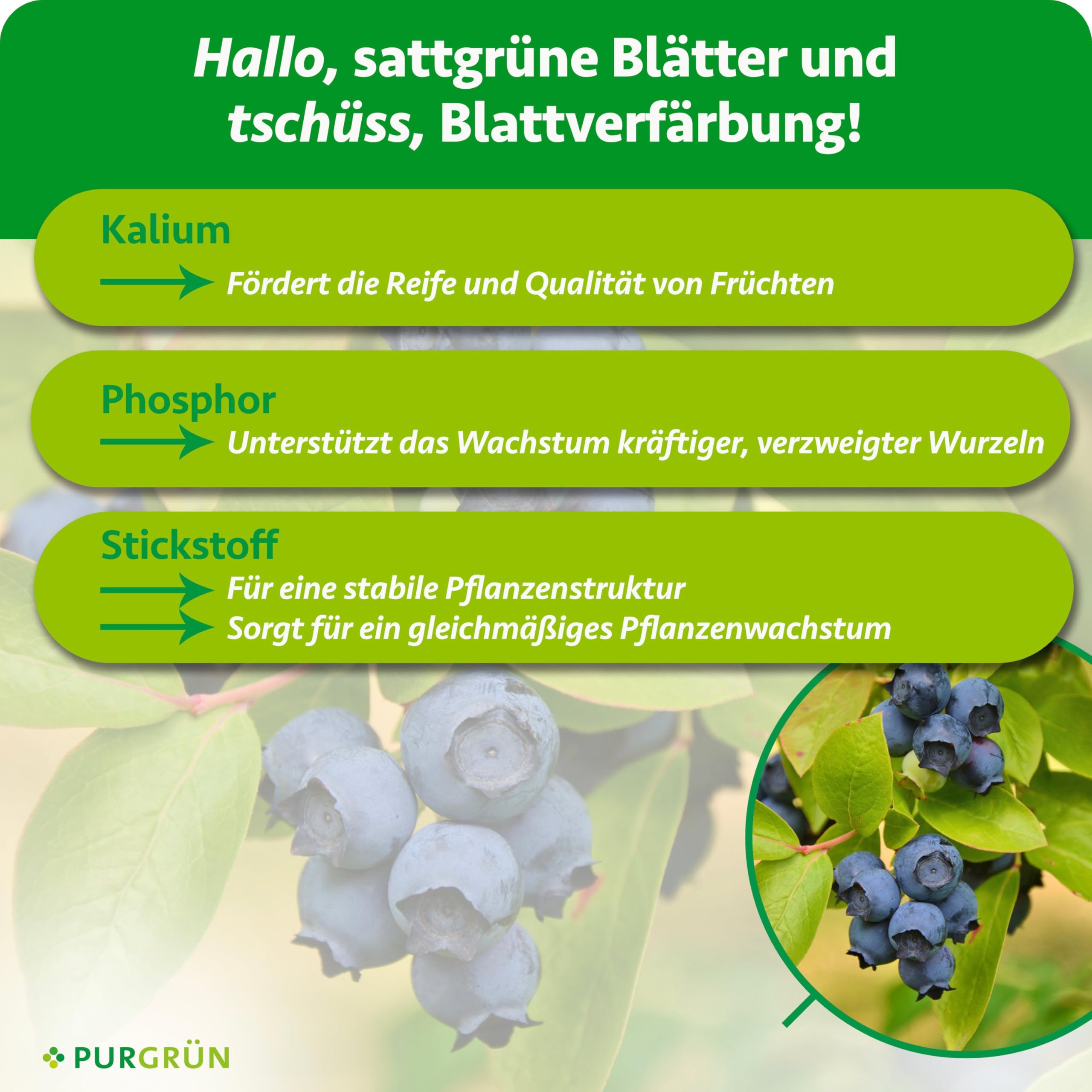 Bio-Kulturheidelbeeren-Dünger 1 Liter – Organische Rezeptur – Premium-Flüssigdünger – NPK 3+2+6 – Mit Algenextrakt & Vinasse – Für aromatische Früchte – Ohne tierische Inhaltsstoffe