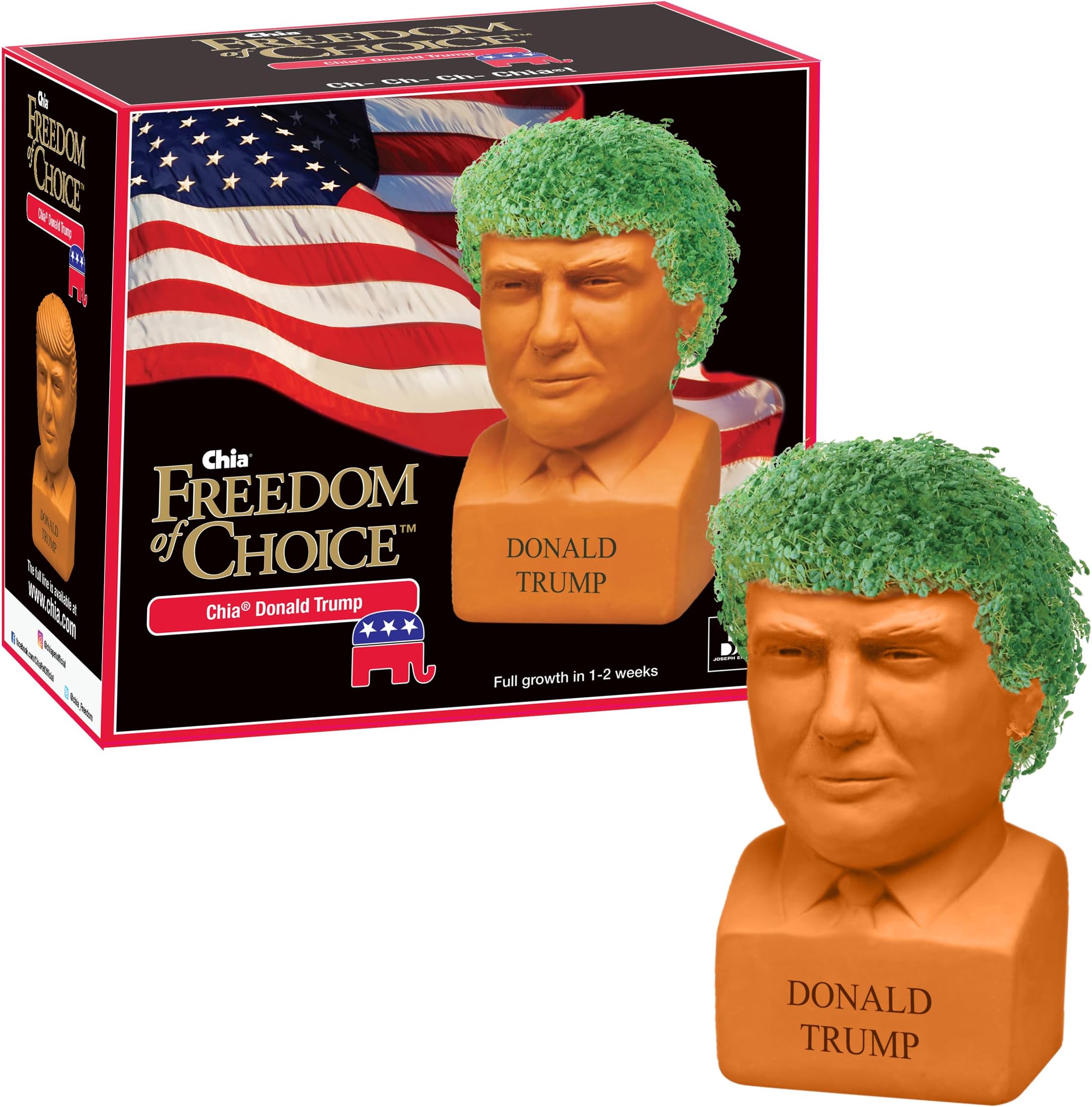 Pet Donald Trump President with Seed Pack, (8" x 4.5" x 7.3") Decorative Pottery Planter, Easy to Do and Fun to Grow, Novelty Gift, Perfect for Any Occasion