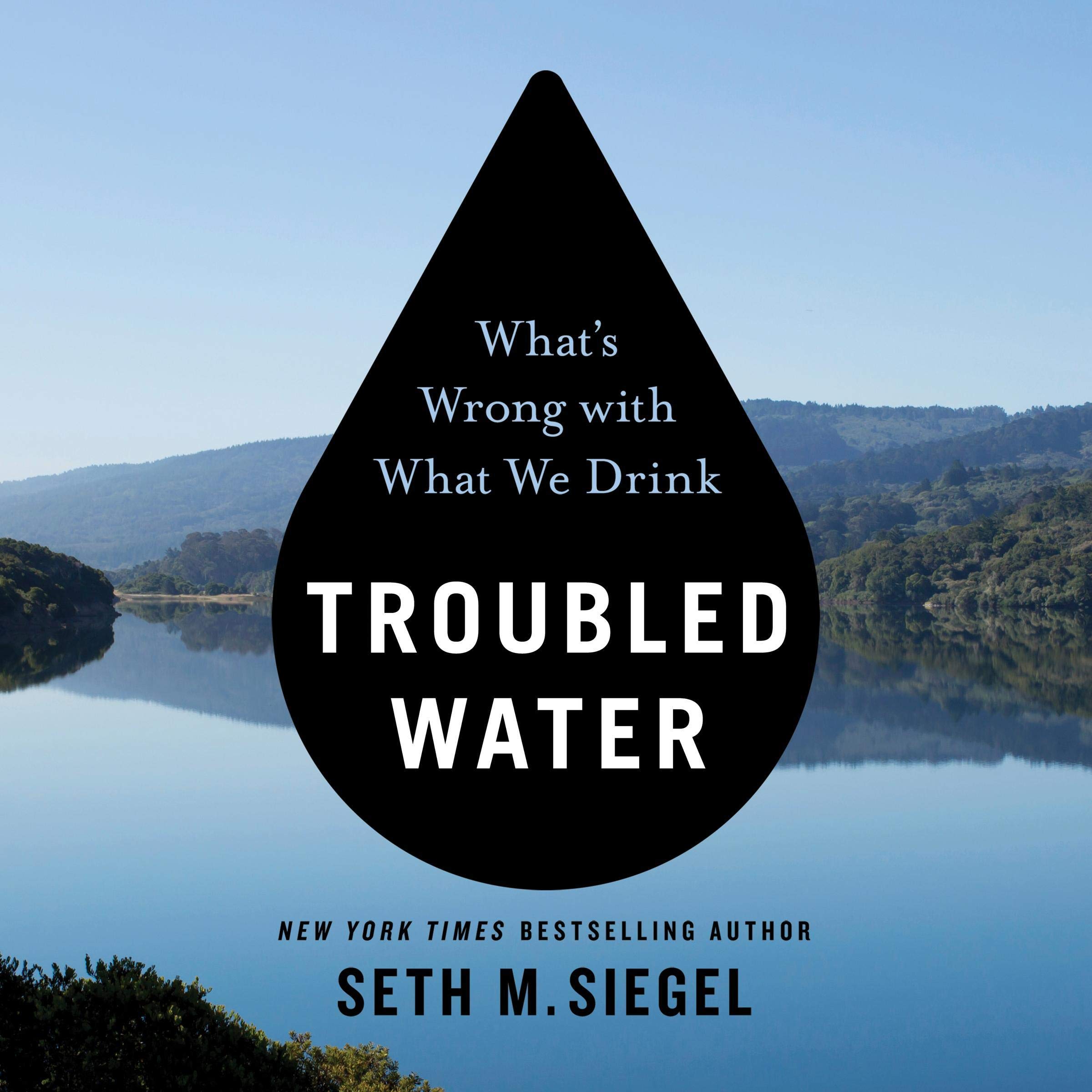 Cover art for Troubled Water