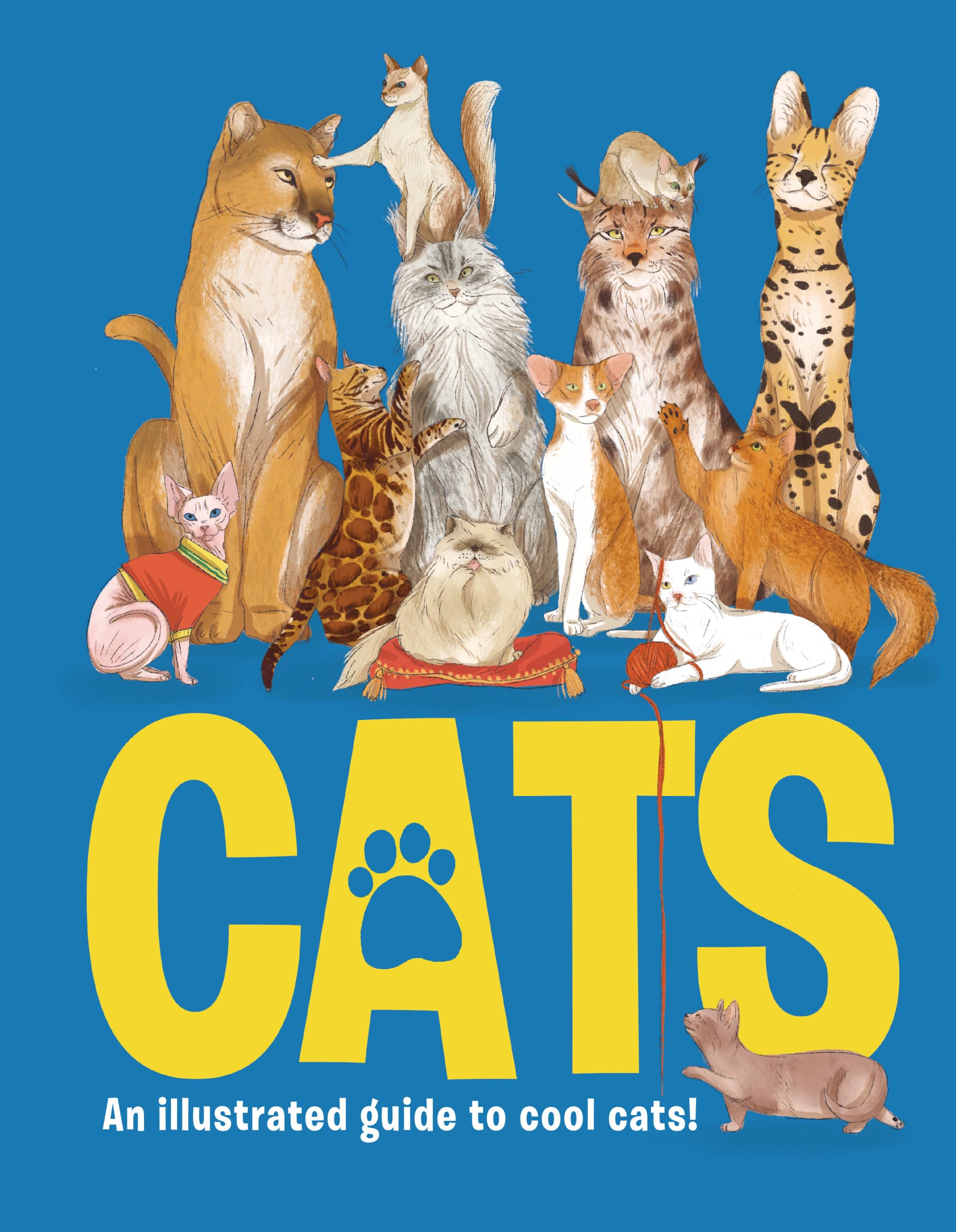 CATS by Eliza Jeffery (Hardback Book)