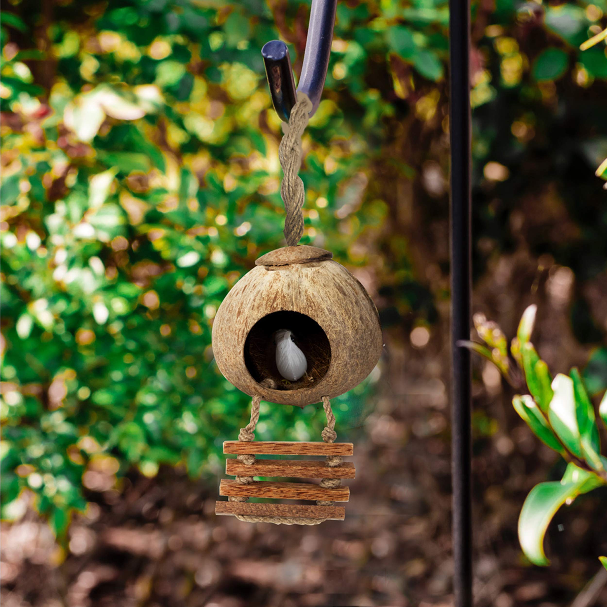 Buy Coconut Hanging Bird Nest House Cage Toys Budgie Bed Natural