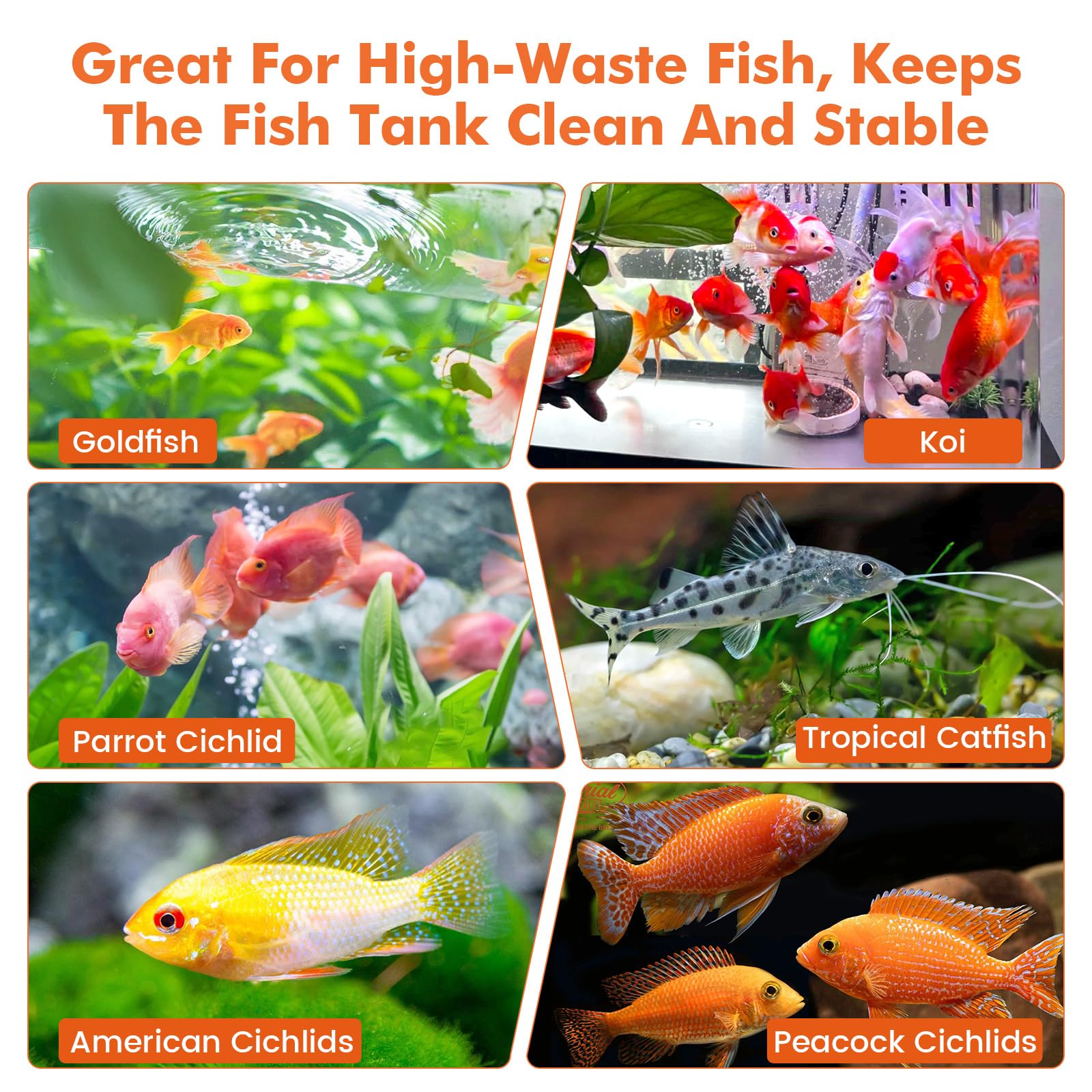 hygger Bio-clarificador de agua de acuario, reduce el desperdicio de peces y limpieza de lodos orgánicos, solución natural de gestión de residuos para acuarios de agua dulce y salada, 1000 ml