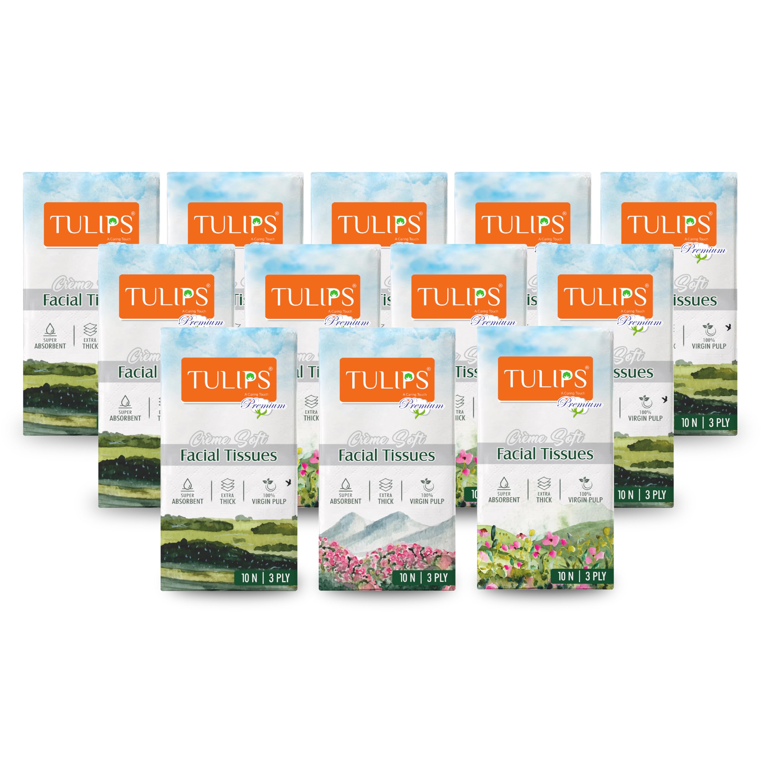 Tulips Premium Creme Soft, 3 Ply Pocket/Hanky Tissue Paper (10 Pulls/Pack of 12) (B0CJV8DWHN) Amazon Price History, Amazon Price Tracker