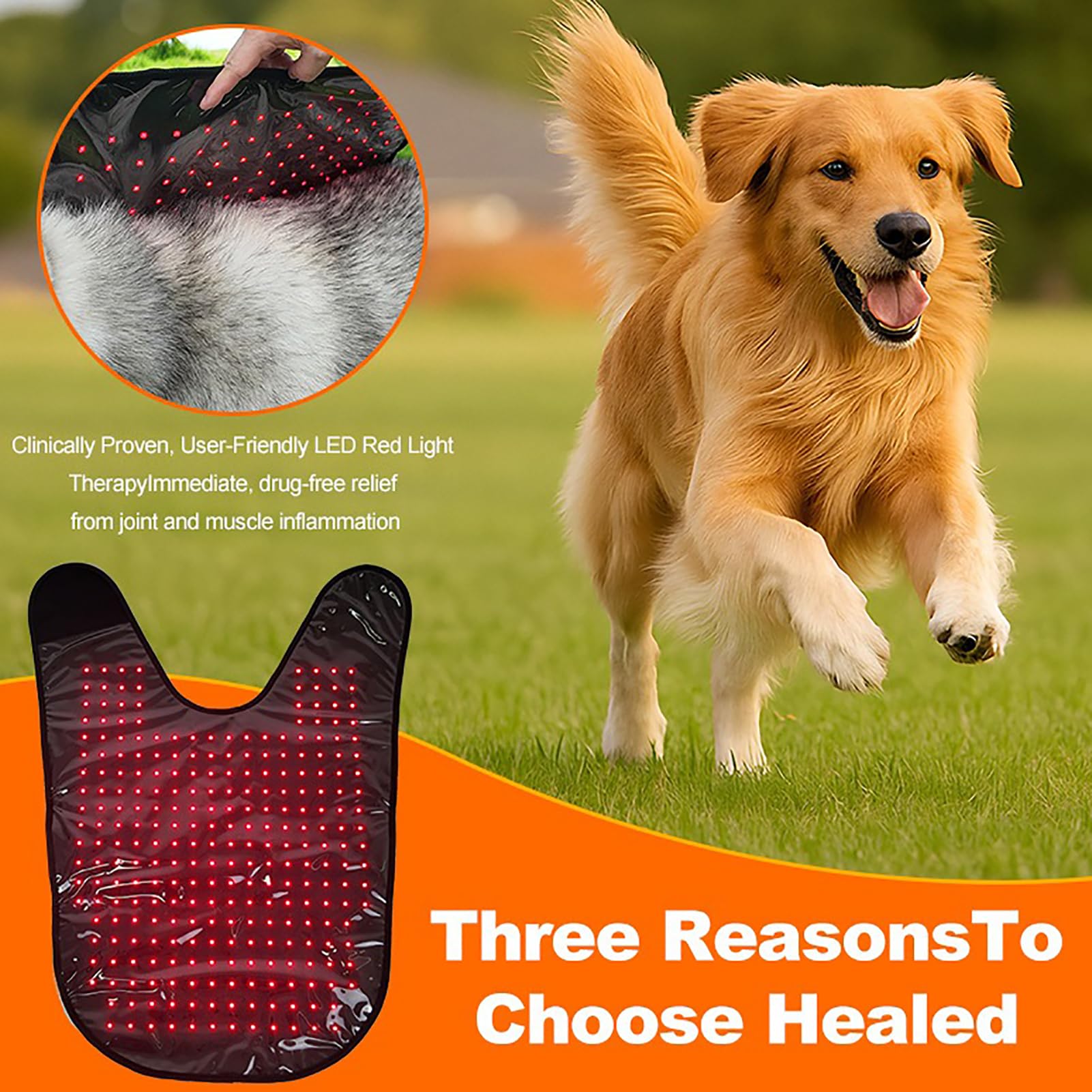 Dispositivo de Terapia física con luz roja, Terapia de luz roja de Doble Longitud de Onda 660/850 NM, Dispositivo de Terapia roja/infrarroja para Mascotas, con 272 LED
